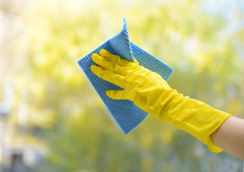Professional carpet cleaning in a modern living room