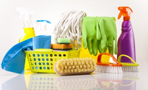 Eco-friendly domestic cleaning tools on a counter