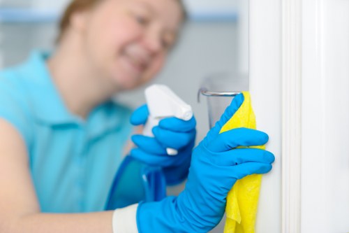 Window cleaning tools including squeegee and microfiber cloth