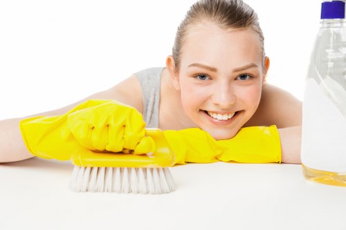 Bathroom deep cleaning and sanitizing fixtures