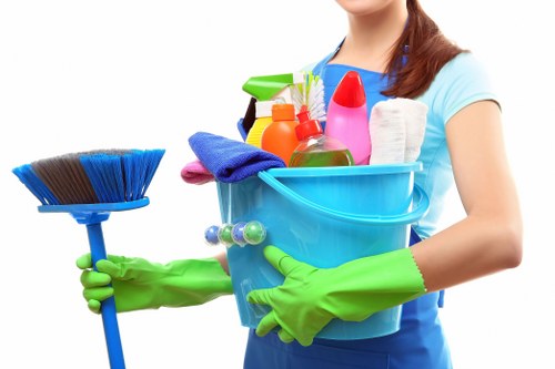 Deep cleaning tools and supplies prepared for a one off clean
