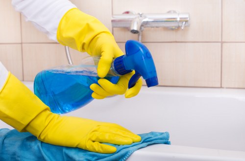Bathroom domestic cleaning with organized supplies