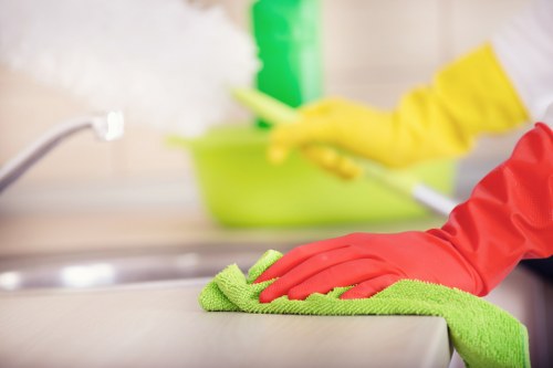 Detailed cleaning of a bathroom during move in service